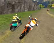 Dirt bike stunts 3D online