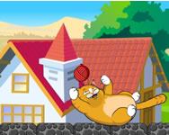 Playful Kitty html5 HTML5 játék